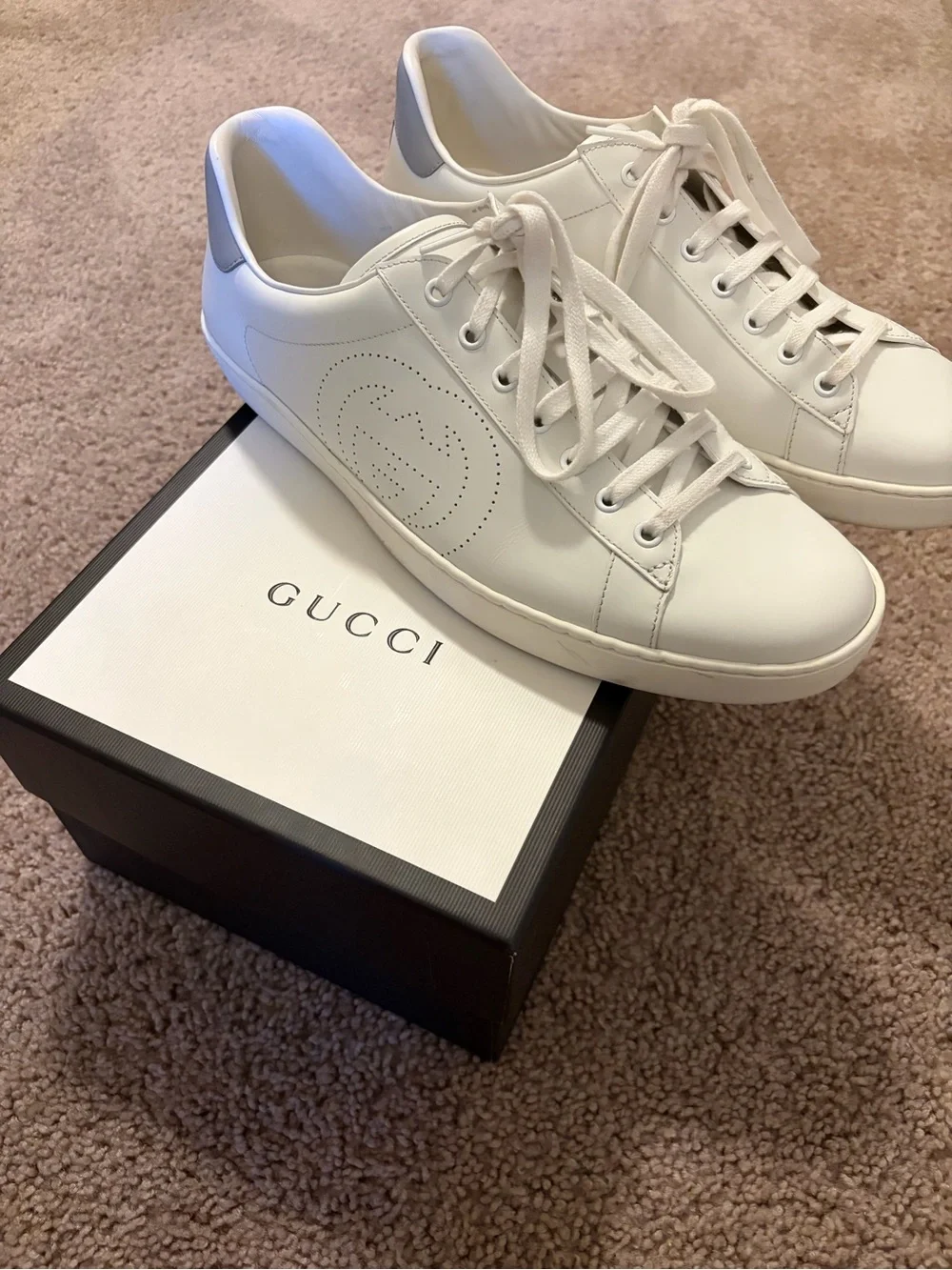 Gucci welcome my